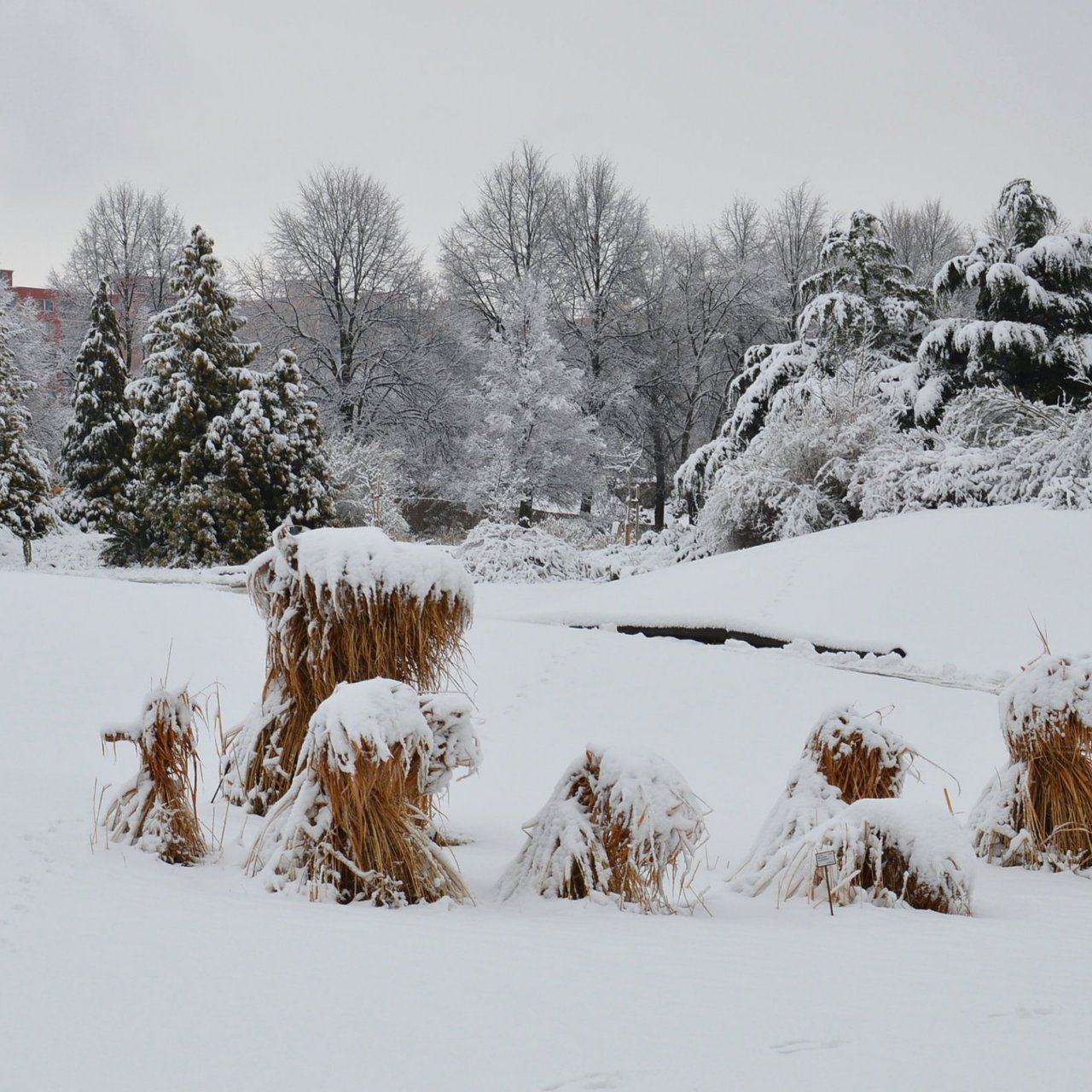Botanická zahrada Troja v zimě - horní, severní část.