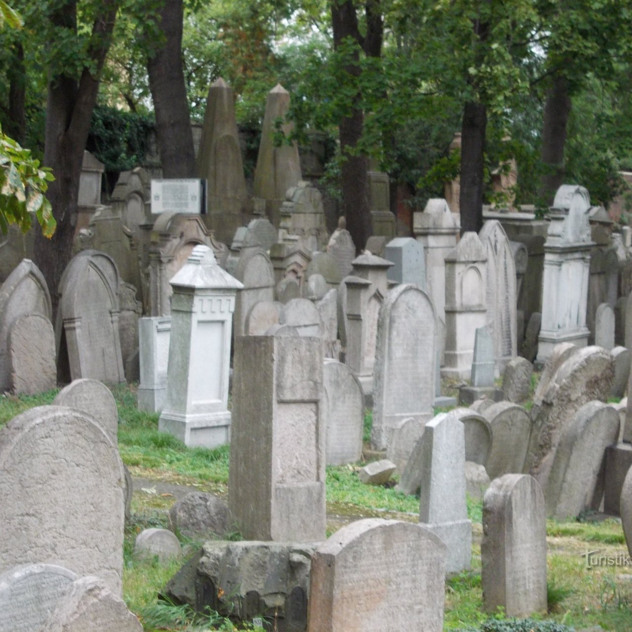 Praha - Starý židovský cintorín na Žižkově