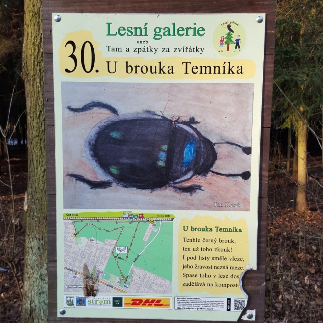 Praha-Klánovice - Lesní galerie - zastávka 30 - brouk Temník