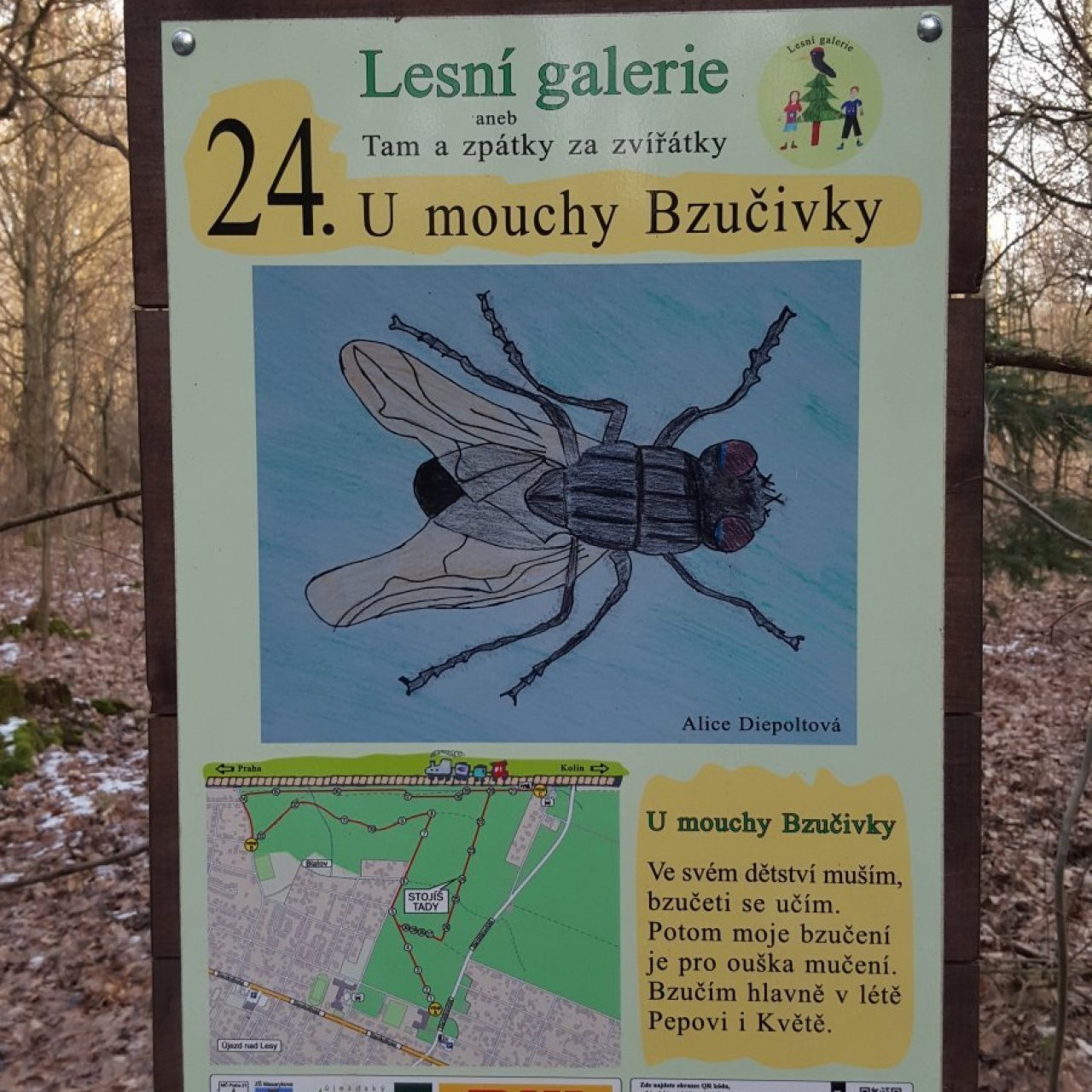 Praha-Klánovice - Lesní galerie - zastávka 24 - moucha Bzučivka