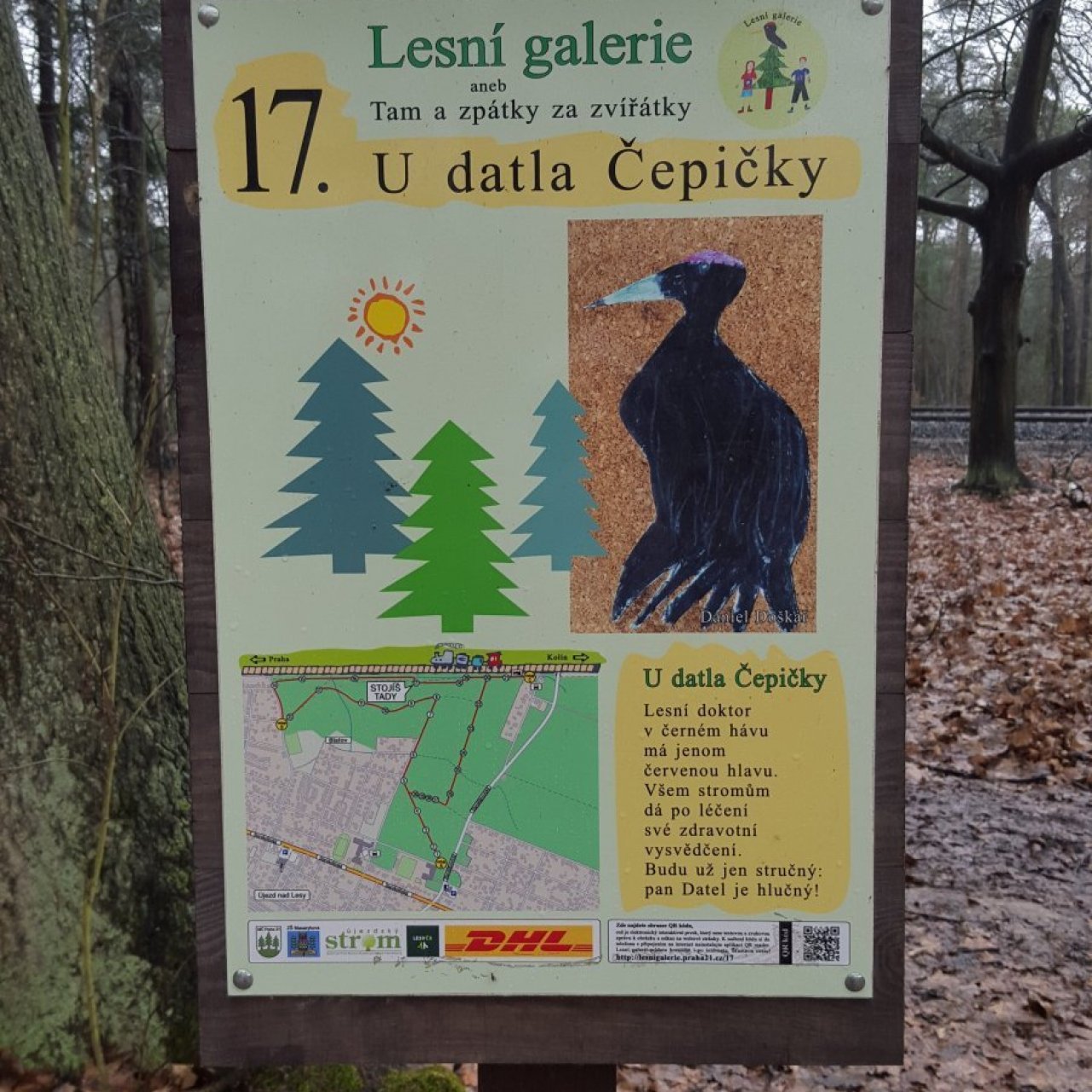 Praha-Klánovice - Lesní galerie - zastávka 17 - datel Čepička