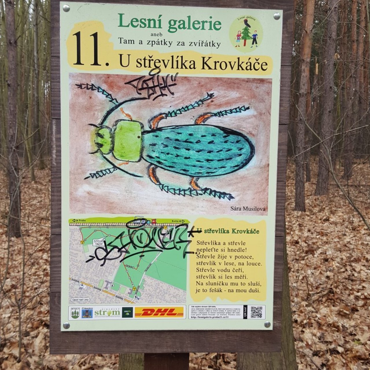 Praha-Klánovice - Lesní galerie - zastávka 11 - střevlík Krovkáč
