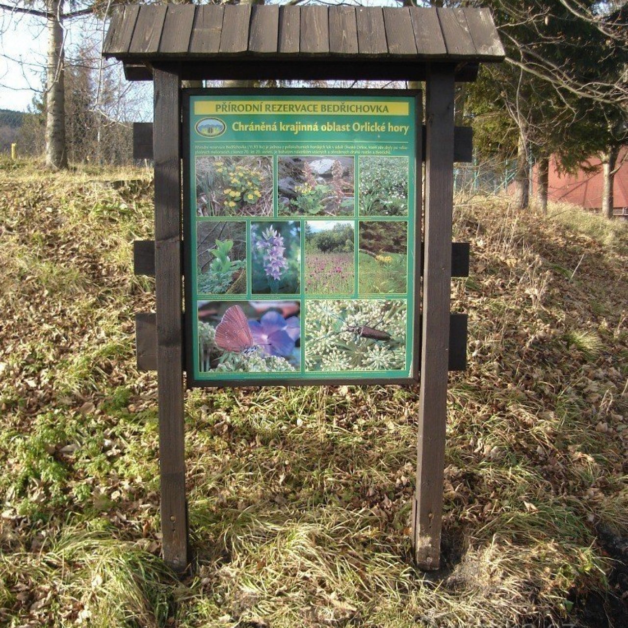 Přírodní rezervace Bedřichovka