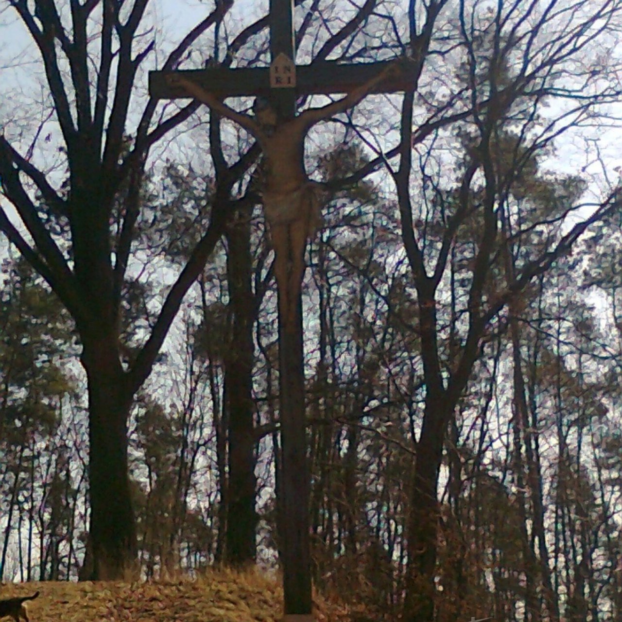 Úsov - dřevěný kříž na Křížové hoře